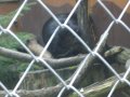 IMGP0858.JPG